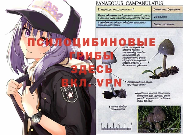 гидропоника Верхнеуральск