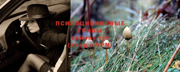 гидропоника Верхнеуральск
