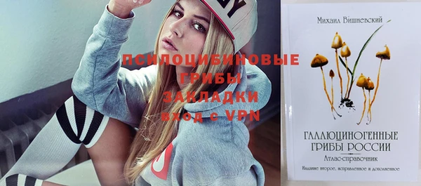 гидропоника Верхнеуральск