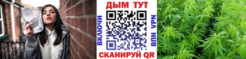 Конопля OG Kush  Кемь 